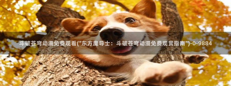 肉嫁高柳家动漫：斗破苍穹动漫免费观看(\