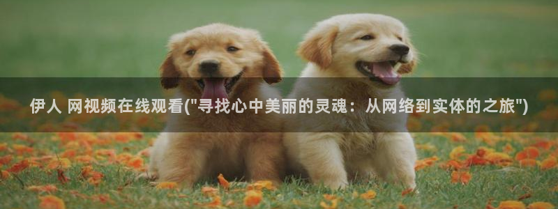 亚洲影院久久午夜伊人