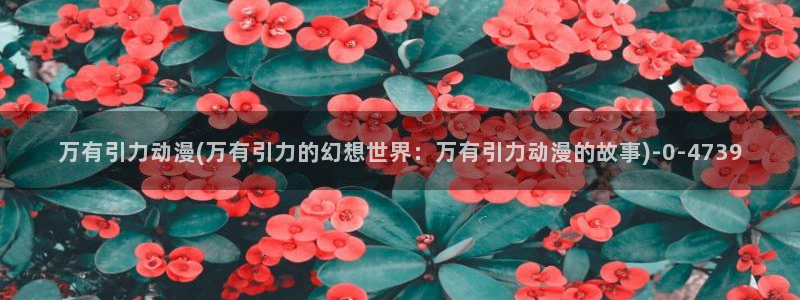 兜兜动漫