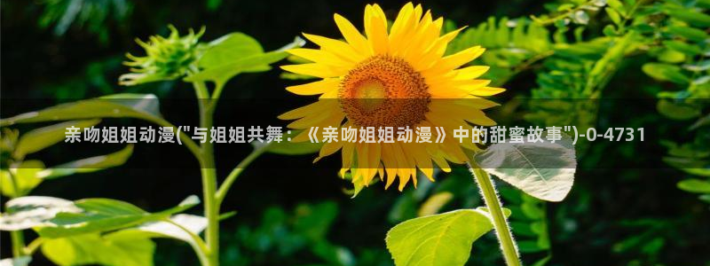 免费动漫
