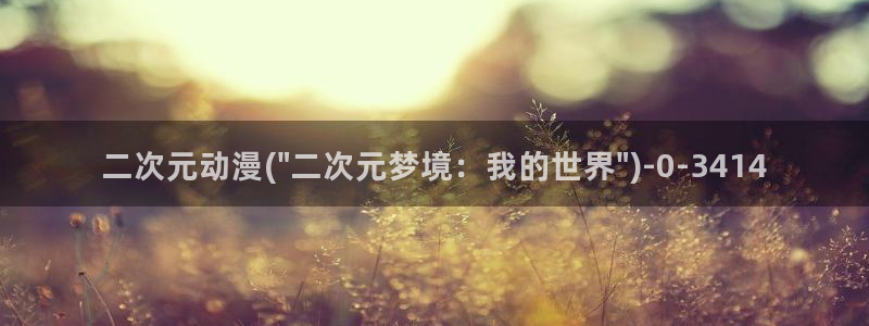 第一动漫