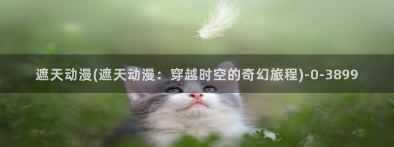 里番动漫在线观看