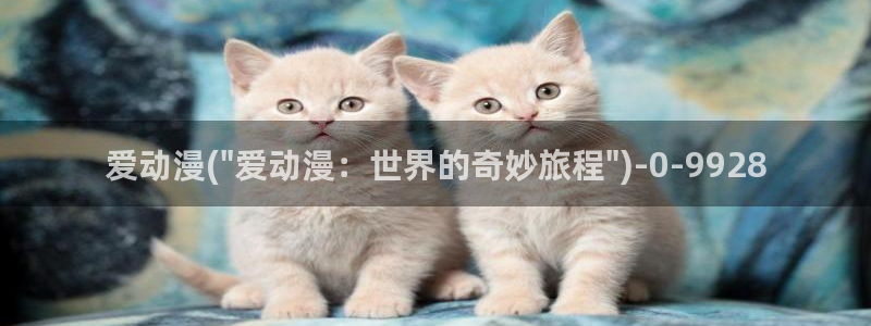 妖精动漫